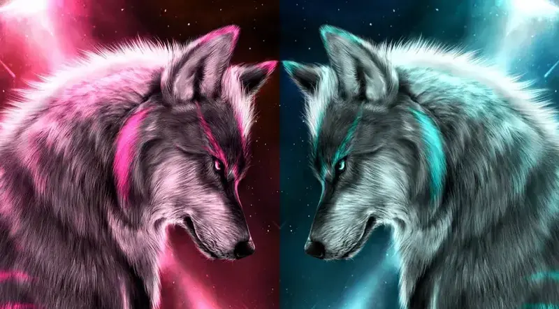 Wolves pictures eujdhvejrak1al3o (1)