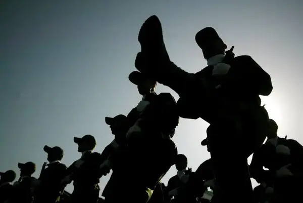 1556520188 lp 5423429 3851549380 (1)