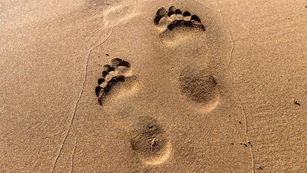 2fc793239f98e952607b7e1ab3070e57 (1)