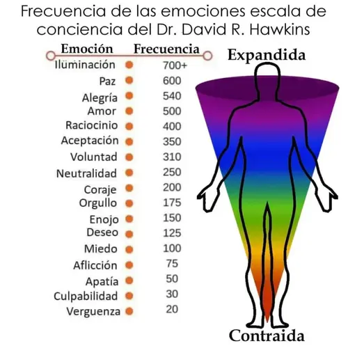Entendiendo la Escala de la Conc