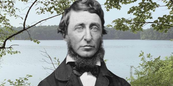 Walden Thoreau 3697251373 (1)