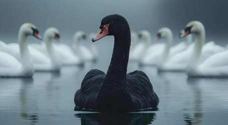 Logoremover 1775499357108 (1) (1)