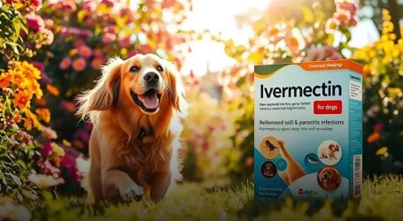 Sorprendenti risultati sulla più ampia analisi in condizioni di pratica clinica reale sull’ivermectina + mebendazolo in pazienti oncologici