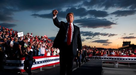 Quello che faccio non servirà a nulla: questa popolazione stupida, indifferente e indottrinata è irrecuperabile