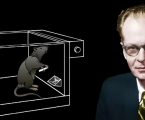B.F.Skinner Condizionamento Operante Stimolo-Risposta