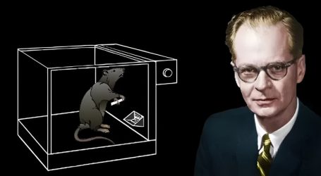 B.F.Skinner Condizionamento Operante Stimolo-Risposta