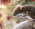 Le sequenze del test PCR per l’hantavirus corrispondono ripetutamente al DNA umano: una variante perfetta per dare il via al Gran Reset finale