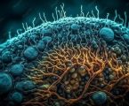 Il dogma della cellula tumorale