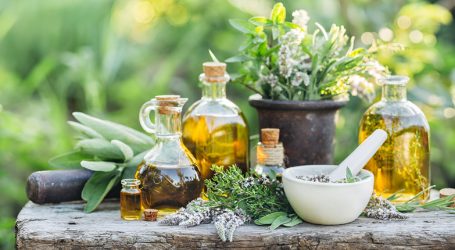 Le grandi aziende farmaceutiche hanno brevettato ciò che cresce nel tuo giardino e la maggior parte delle persone non lo sa