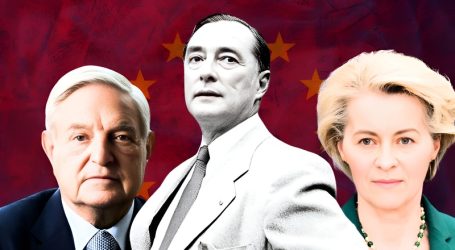 Una valutazione molto dettagliata del Piano Kalergi elaborato nel 1923 e in piena fase realizzativa che la gente non conosce