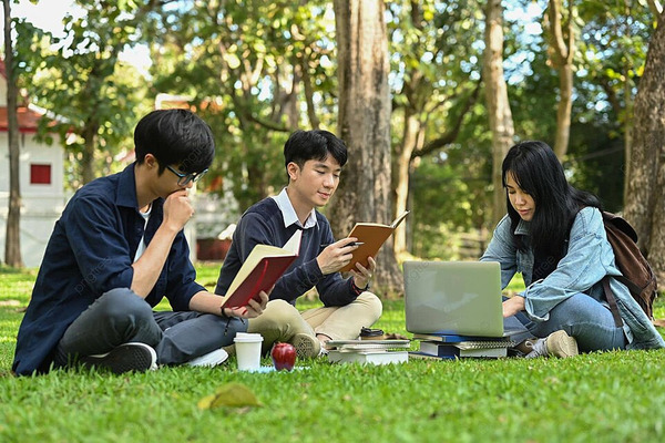 Pngtree students study under tre