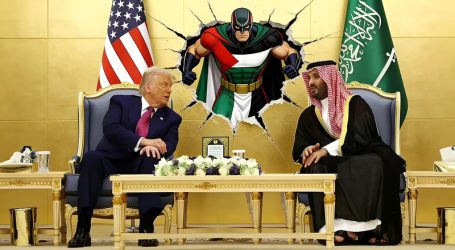 Vi siete mai domandati perché i potenti odiano così tanto la Palestina?