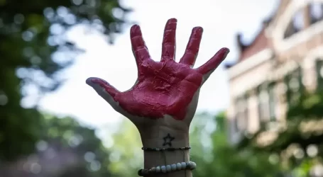 Genocidio, democidio e omicidio di massa: le popolazioni come carne da cannone